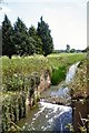 Old lock on River Lark