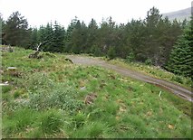 NN3379 : Forest track near Inverlair by J M Briscoe