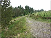 NN3379 : Forest track near Inverlair by J M Briscoe