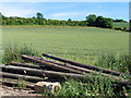 Wheatfield at Hackney Bottom