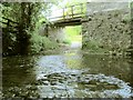 Ford and Rail Bridge near Meusydd