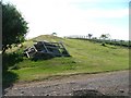 Tumulus, Howe Hill, Newby