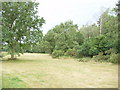 East Burnham Common in Burnham Beeches