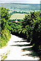 Looking towards Alfriston from the South Downs Way path