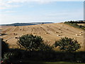 After the Harvest, West Charleton