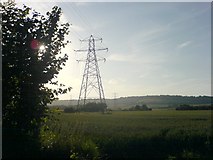 TQ6961 : Pylons, through Barley Fields by Hywel Williams