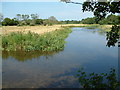 Millstream, Hampshire Hatches Lane, Ringwood