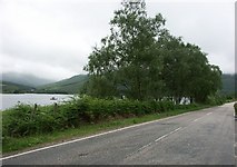 NN0860 : B863 on North side of Loch Leven - Glencoe visible on other side of the loch by J M Briscoe