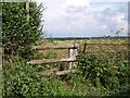 Footpath from Hill Road, Pirton to Wadborough