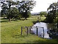 Pond, Crow Wood Farm