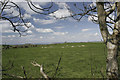 Kingston Russell stone circle