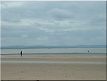SJ3097 : Another Place, Crosby Beach by David Medcalf