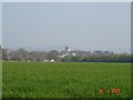 Barley fields