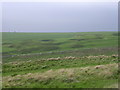 Disused quarry near Bincombe