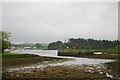 Mullagh Quay, Strangford Lough