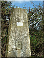 Trig point at Norwood Hill