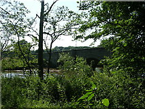 SE7362 : Howsham Bridge by Stuart and Fiona Jackson