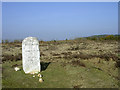 SU2302 : Old milestone on heathland between Clay Hill and Wilverley Post, New Forest by Jim Champion