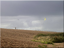 SY5684 : Kite flying on the landward side of Chesil Beach's northwestern end by Jim Champion