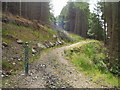 Footpath heading to Corran Lochan