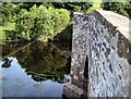 River Earn at Forteviot Bridge