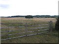 Copse :: Chapel of St. Blaise