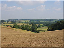 SP1762 : View from the Monarch's Way near Cutler's Farm by David Stowell