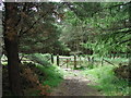 Gate to Westworth Wood