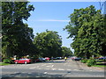 Binswood Avenue, Royal Leamington Spa