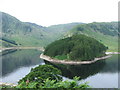 NY4711 : The Rigg, Haweswater. by Steve Partridge