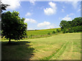 Farmland: Lambourn