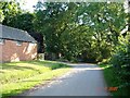 Rhyllon - lane and farm building