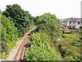 The railway and river at Bridges (Luxulyan)