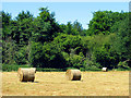 Bales near Collins End Common