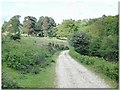 Towards Great Linford Inclosure