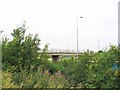 SJ6589 : M6 Bridge by Dave Smethurst