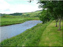 NJ5949 : River Deveron from Marnoch Cemetery by Greg Stringham