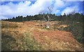 Pony track to Loch a