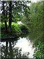 SU5766 : Reflections on the Kennet River: Woolhampton by Pam Brophy