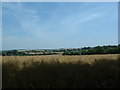 Fields near Barton Farm, Winchester