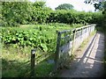 Footbridge at Ver Walk Drop Lane