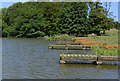 Fishing platforms, Belvoir Lower Lake