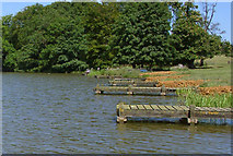 SK8333 : Fishing platforms, Belvoir Lower Lake by Kate Jewell