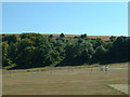 TQ1108 : Findon Cricket Pitch and Church Hill by Chris Shaw