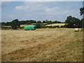 Fields behind Wivelsfield