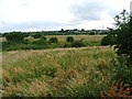 Billingham Beck