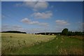 Farmland at Rushbrooke