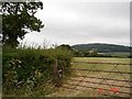 Farmland near Waen