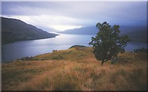 NN4010 : Loch Katrine by Richard Webb