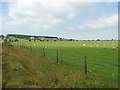 Roughtor Farm, Near Camelford, Cornwall